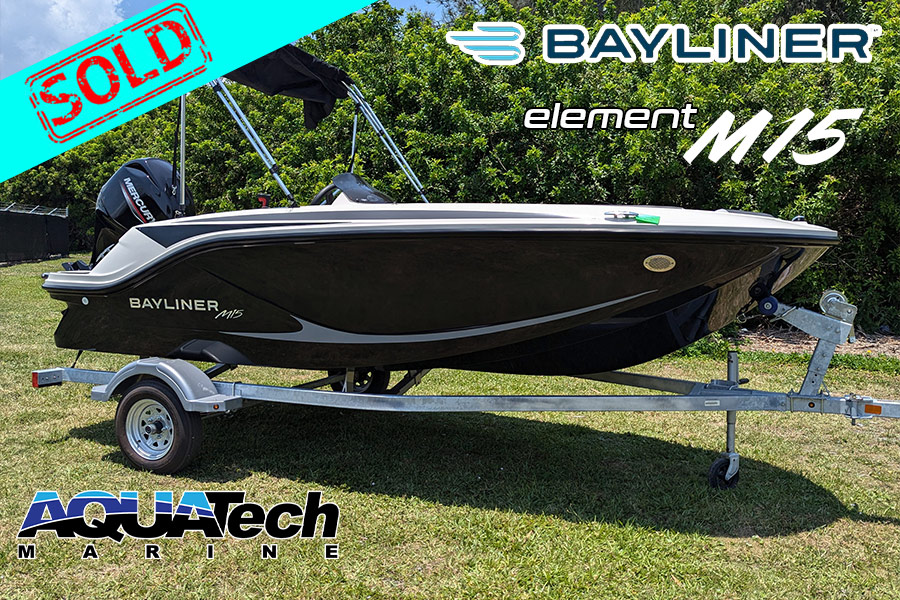2024 Bayliner Element M15 For Sale