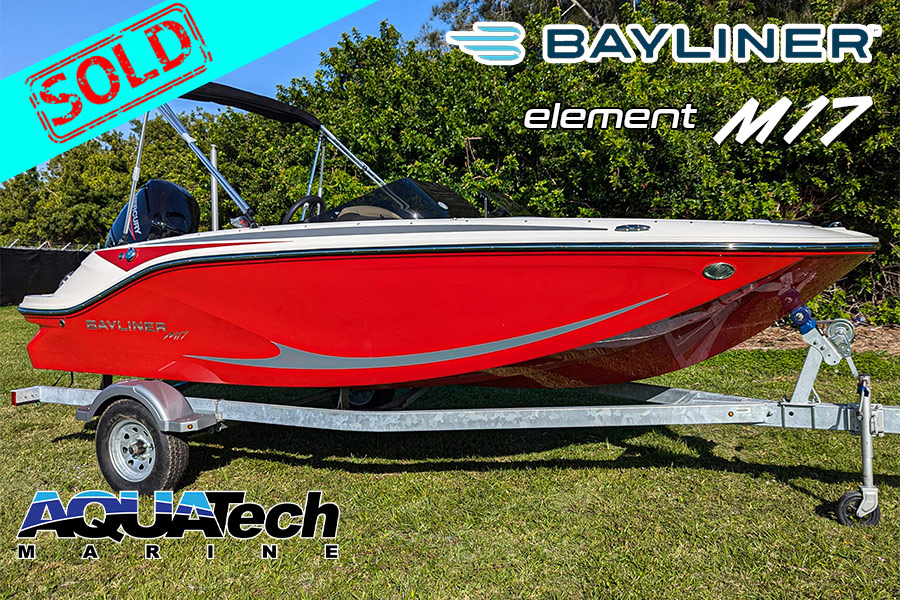 2025 Bayliner Element M17 For Sale